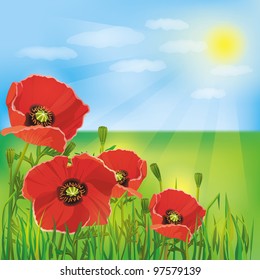 Nature background with flowers red poppies. Summer landscape