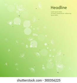 Nature background with flying fluff. Trendy floral green background with place for text. Abstract beautiful spring or summer wallpaper. Vector 

illustration.