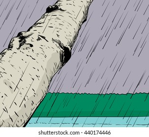 Nature background with forest, lake, birch tree and rain pouring down