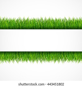 Nature background with fresh green grass