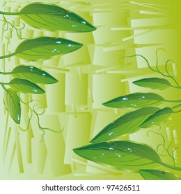 Nature background with fresh green leaves