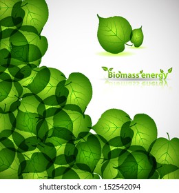 nature background with fresh spring leaf