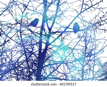 Nature background. Frozen branches of trees without leaves. Winter.  Love couple of birds looking each  other. Cold.