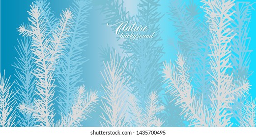 Nature background with frozen pine trees and winter.