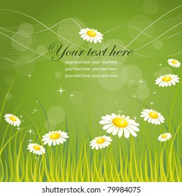 Nature background with grass and chamomile, vector illustration, eps-10