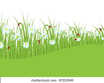 Nature background with grass and daisies