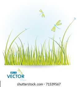 Nature background with grass and dragonfly, eps-10