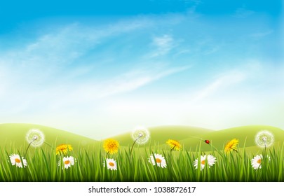 Nature background with grass and flowers and butterflies. Vector.