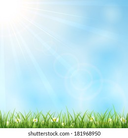 Nature background with grass, flowers and sun, illustration.