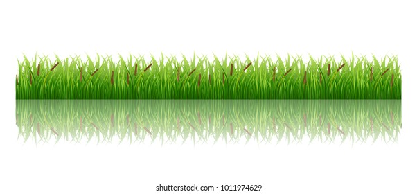 Nature background Grass isolated on white green meadow nature vector image.