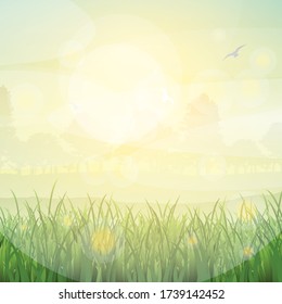Nature background of a grassy landscape