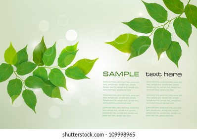  Nature background with green fresh leaves . Vector illustration.