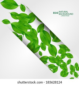 Nature background with green fresh leaves