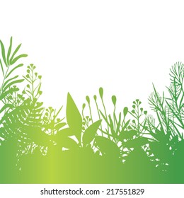 Nature background with green fresh leaves . Vector illustration.