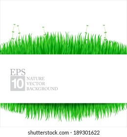 Nature background with green grass 02