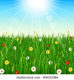 Nature background with green grass, blue sky and bright sun