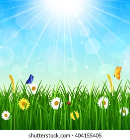 Nature background with green grass, blue sky and bright sun