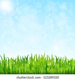 Nature Background With Green Grass And Blue Sky Vector