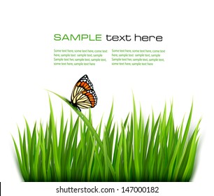 Nature background with green grass and a butterfly. Vector. 