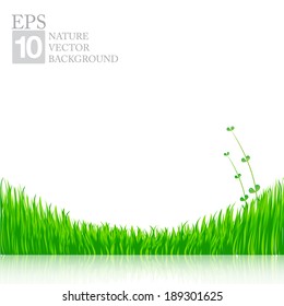 Nature background with green grass EPS10