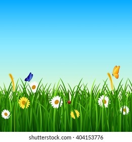 Nature background with green grass, flower and blue sky