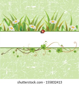 Nature background with green grass and flowers Vector.