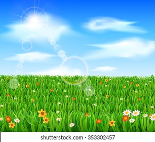 Nature background with green grass and flowers and blue sky