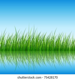 Nature background, green grass reflected in water, vector.