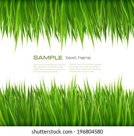 Nature background with green grass. Vector. 