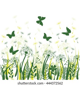 Nature background with green grass, wild herbs,,dandelions and butterflies on white backdrop