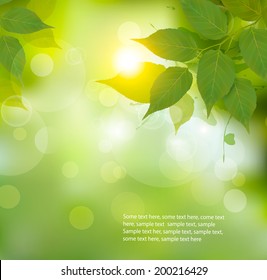 Fondo natural con hojas de primavera verdes. Ilustración vectorial.