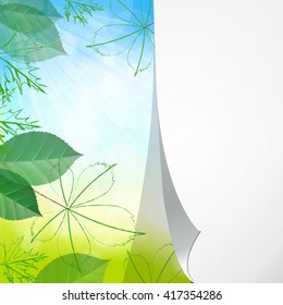 Nature background with green spring leaves. Vector illustration.
