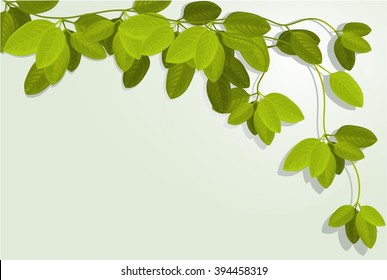 Nature background with ivy leaves