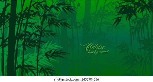 Nature background with ivy leaves, green plants.
