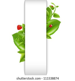 Nature Background With Leaf And Ladybug, Isolated On White Background, Vector Illustration