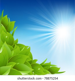 Nature Background With Leafs, Vector Illustration