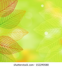 Nature background with leaves