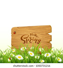 Nature background. Lettering Hello Spring on wooden board in grass with flowers, illustration.