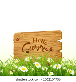 Nature background. Lettering Hello Summer on wooden board in grass with flowers, illustration.