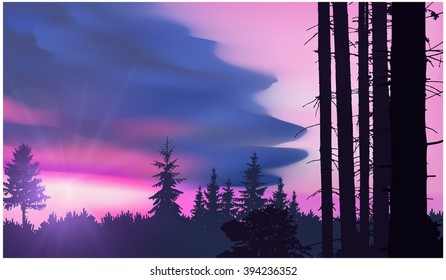  Nature background. Panorama of forest. Pine trees and trunks. Sunset. Pink, violet and blue tones. Eps 10.