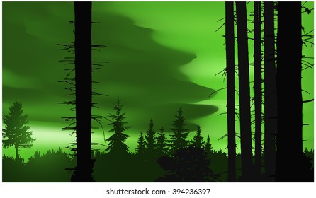  Nature background. Panorama of forest. Pine trees and trunks. Sunset. Green tones. Eps 10.