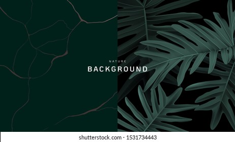 Nature background, Philodendron bipinnatifidum leaves and marble ink texture in dark green tone