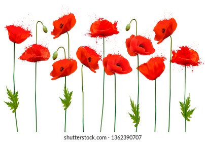 Nature  background with red poppies flowers. Vector.