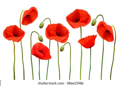 Nature background with red poppies. Vector.