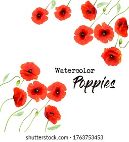 Nature background with a red watercolor poppy flowers. Vector.