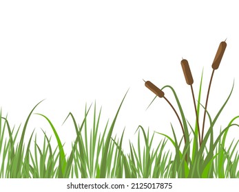 Nature background with reeds and grass. River landscape with plants. Flat vector illustration. 