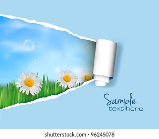 Nature background with ripped paper. Vector illustration.