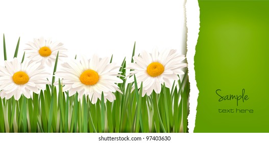 Nature background with ripped paper. Vector illustration.