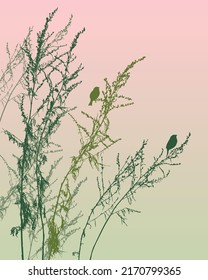 Nature background of silhouettes birds on wildflowers against morning sky