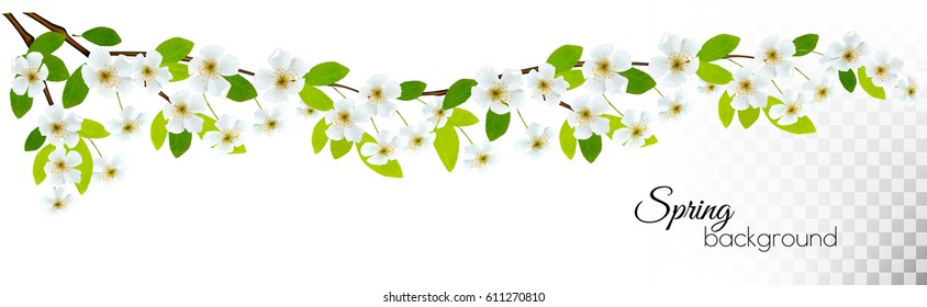 Fondo natural con brote primaveral de cerezo. Vector.